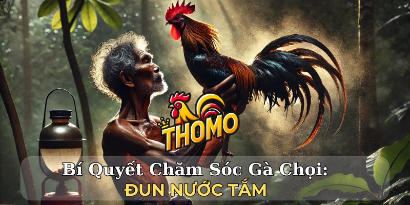 Bí Quyết Chăm Sóc Gà Chọi: Đun Nước Tắm 