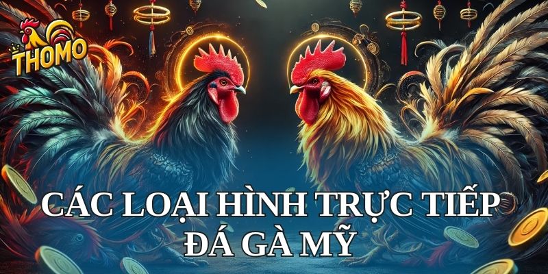 Các loại hình trực tiếp đá gà Mỹ phổ biến