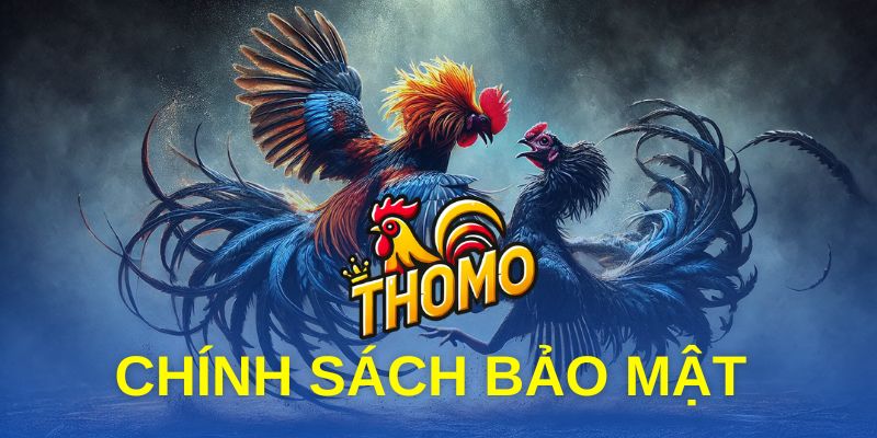 CHÍNH SÁCH BẢO MẬT tại trực tiếp đá gà Thomo