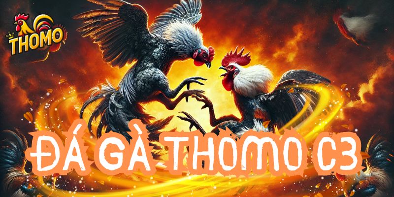 Đá gà Thomo C3 là gì?