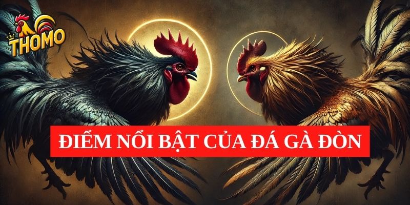 Điểm nổi bật của đá gà đòn