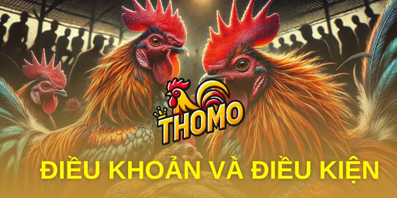 Điều khoản và điều kiện tại Trực tiếp đá gà Thomo