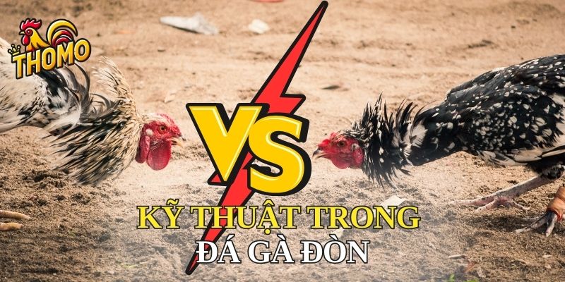 Những kỹ thuật trong đá gà đòn