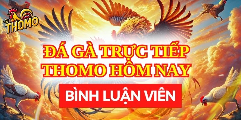 Lợi ích từ đá gà thomo trực tiếp bình luận viên là gì? 