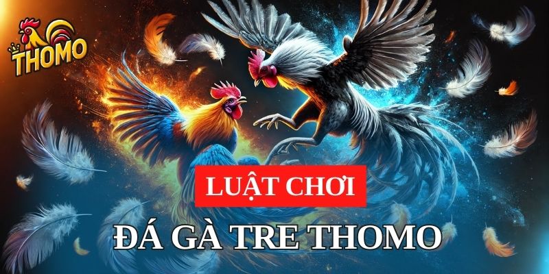 Luật chơi trong các trận đấu đá gà tre Thomo