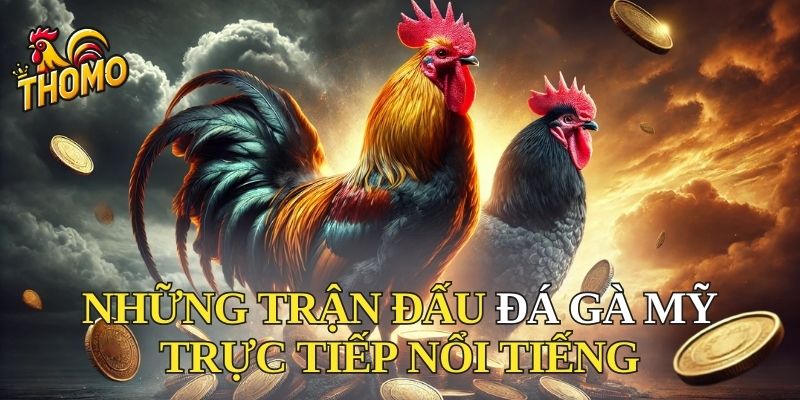 Những trận đấu đá gà Mỹ trực tiếp nổi tiếng