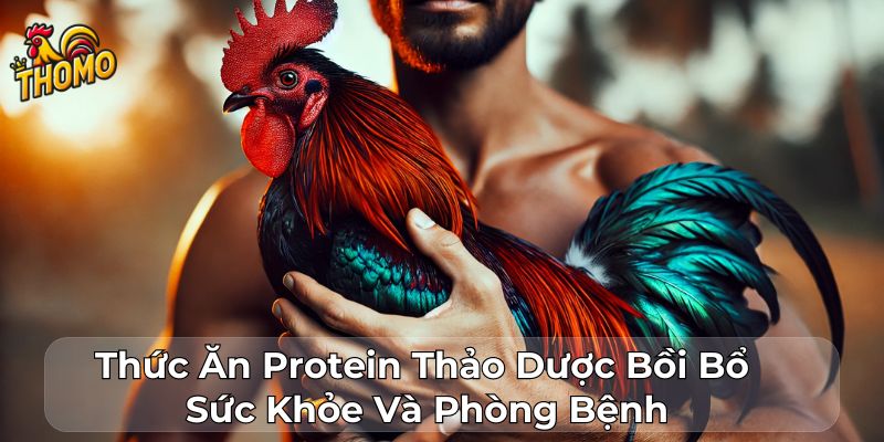 Thức Ăn Protein Thảo Dược Bồi Bổ Sức Khỏe Và Phòng Bệnh