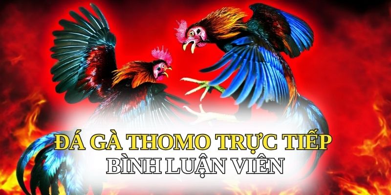 Trải nghiệm xem trực tiếp đá gà thomo bình luận viên ở đâu?