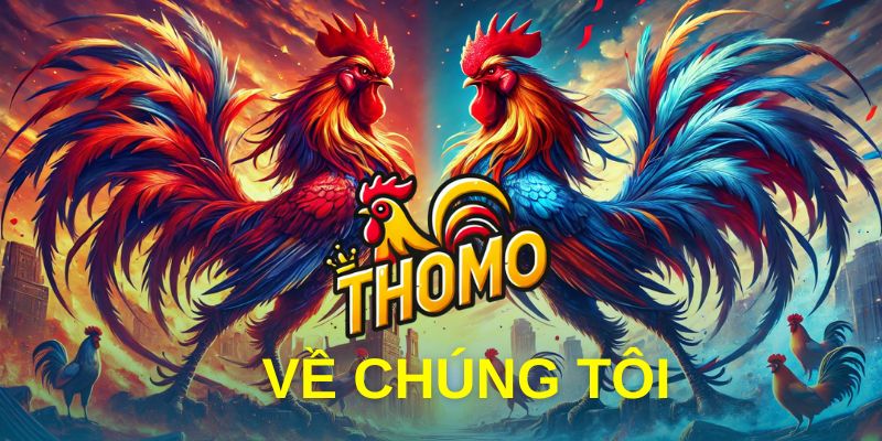 Thông tin về chúng tôi - Trực tiếp đá gà Thomo