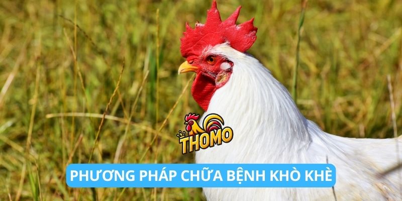 Phương pháp chữa bệnh khò khè theo dân gian