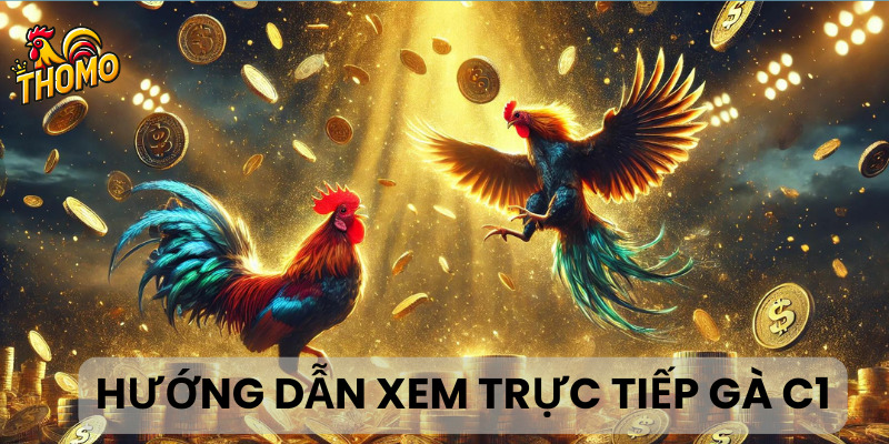 Hướng dẫn cách xem đá gà trực tiếp C1