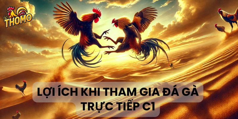 Lợi ích khi tham gia đá gà trực tiếp C1